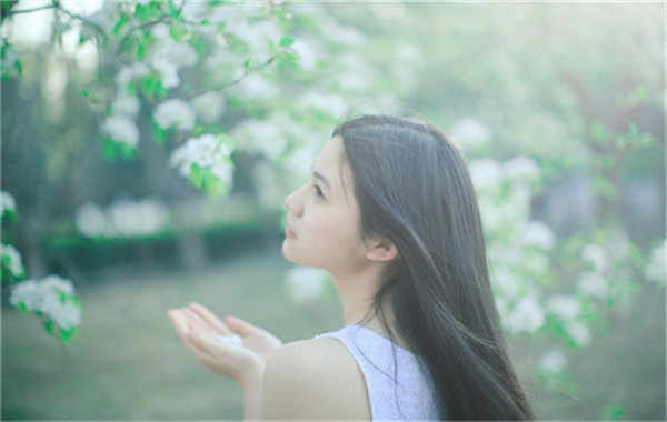 新蔡验血查男女几周可以验(验血查男女结果图)